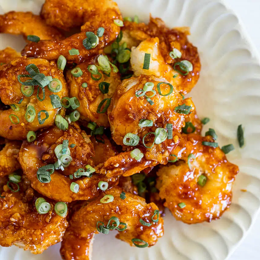 Firecracker shrimp