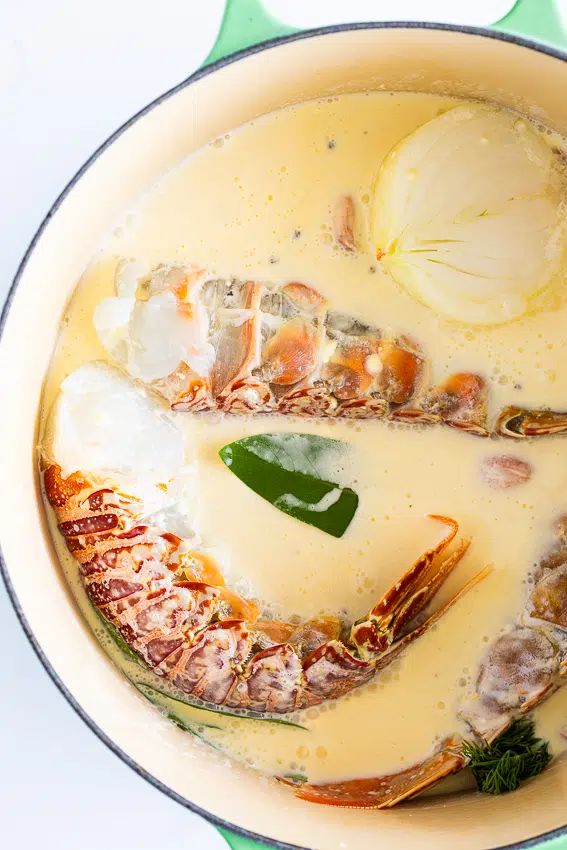 Cream infused with lobster shells, onion, bay leaf and garlic.