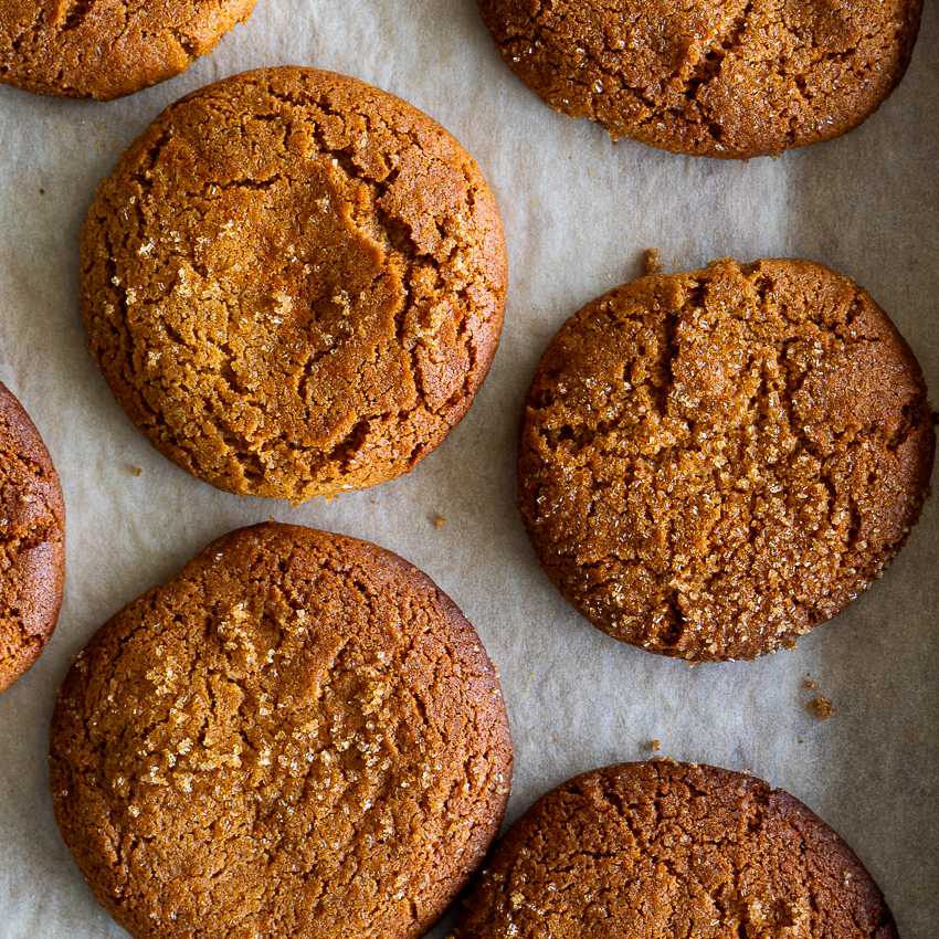 Ginger snap cookies