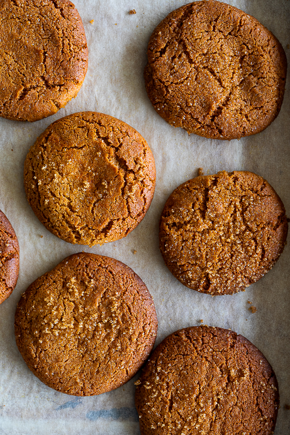 Ginger snap cookies
