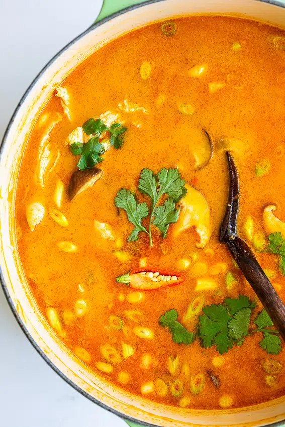 Tom Kha Soup in Dutch oven with spoon