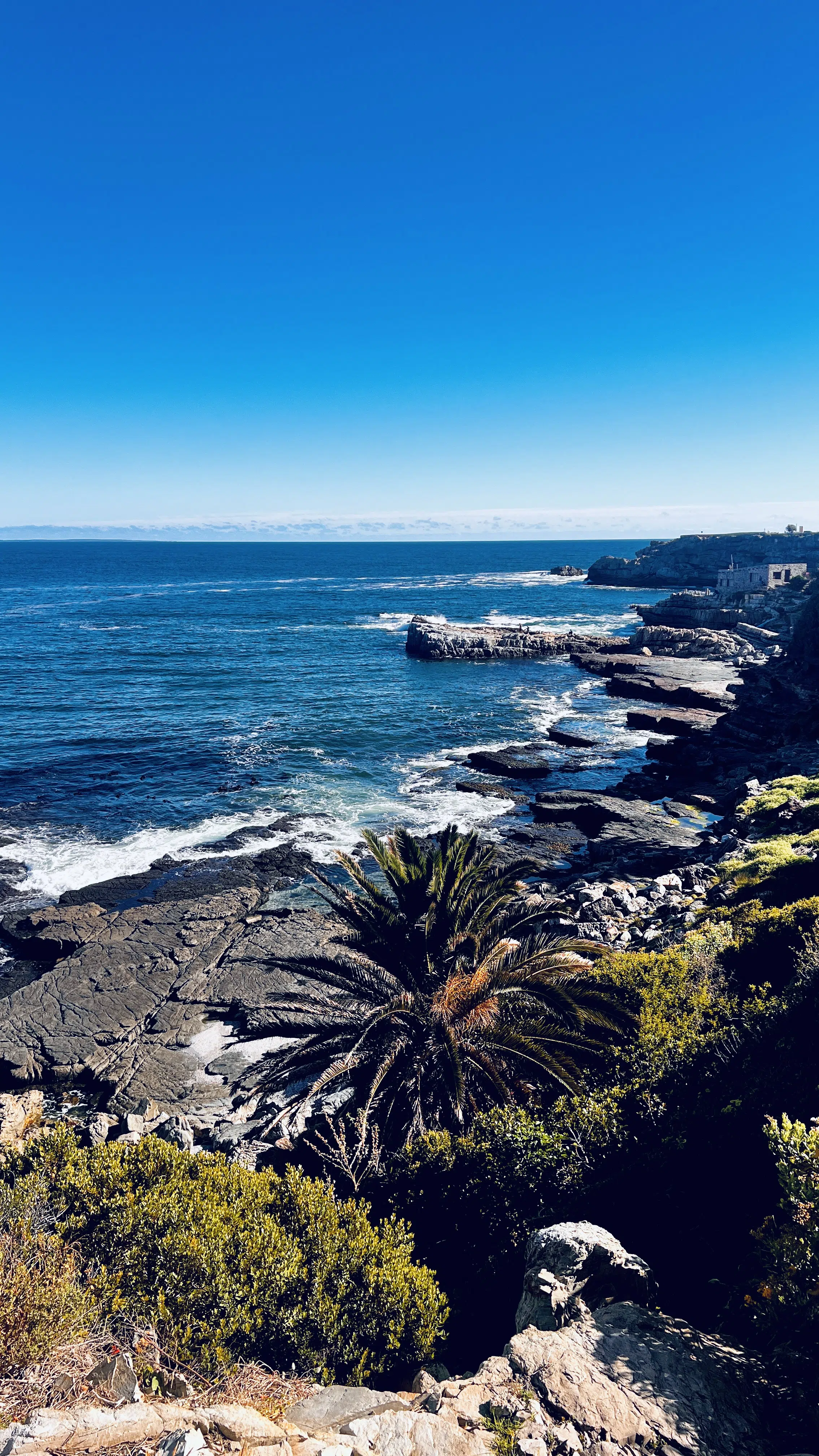 Hermanus South Africa