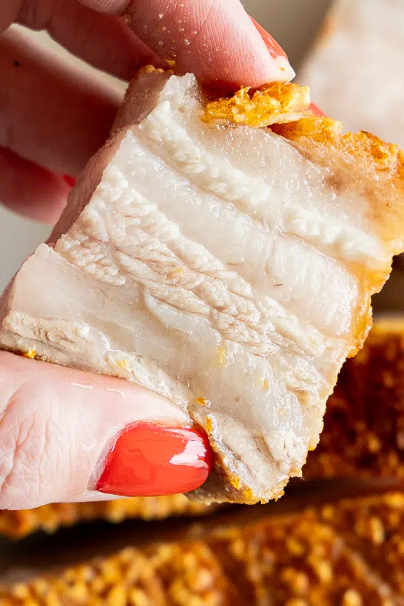 Juicy crispy air fryer pork belly