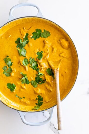 Chicken korma in pot.