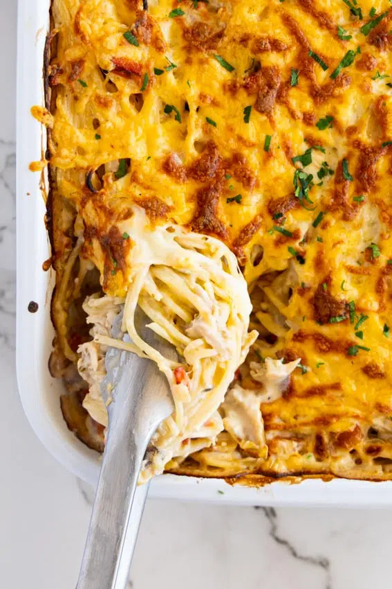 Easy Chicken Spaghetti