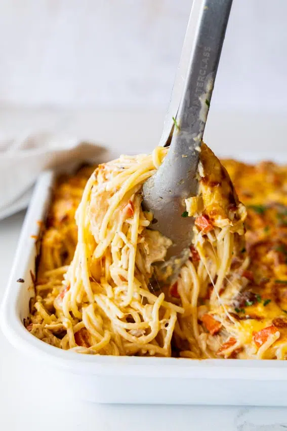 Easy Chicken Spaghetti