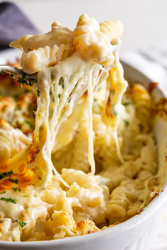 Cheesy baked chicken Alfredo