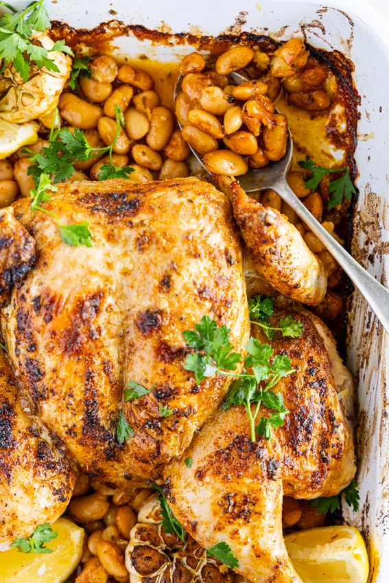 One Pan Chicken with Beans