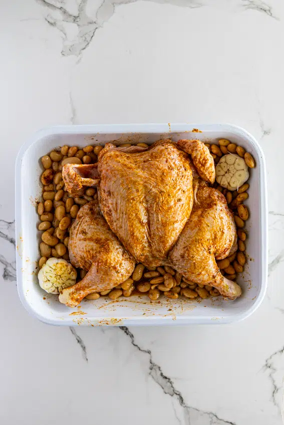 Spatchcock chicken on a bed of butter beans.