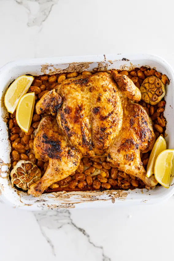 Roasted spatchcock chicken and beans.