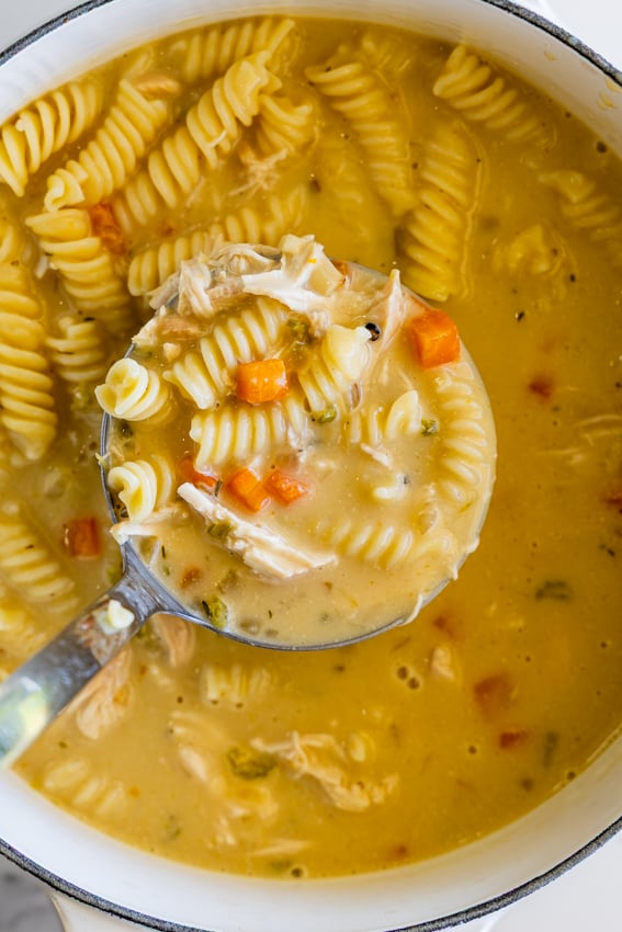Creamy Chicken Noodle Soup being ladled.