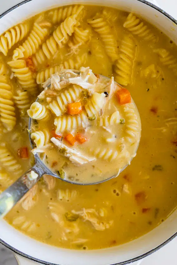 Creamy Chicken Noodle Soup being ladled.