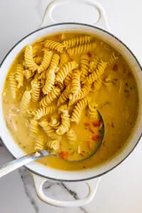 Cooked noodles stirred into chicken soup.