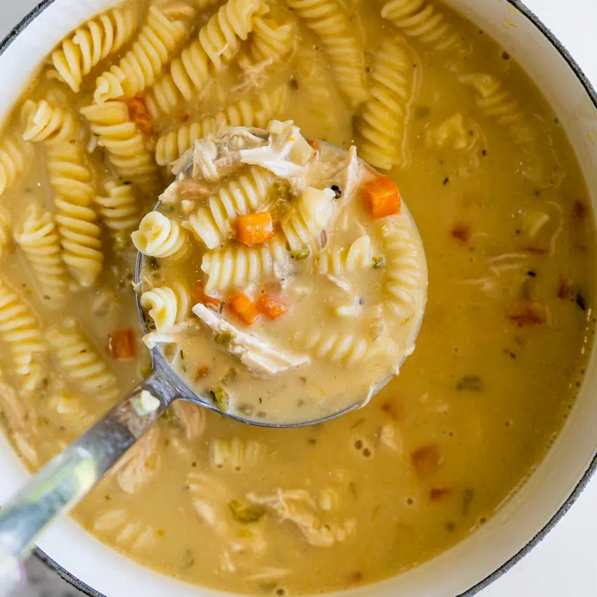 Creamy Chicken Noodle Soup in ladle.