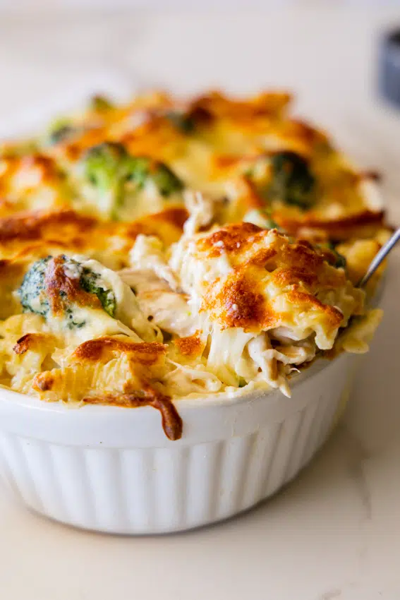 Baked Chicken and Broccoli Alfredo in white casserole dish.