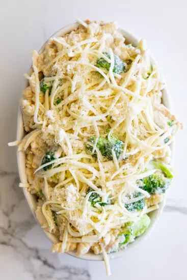 Pasta, broccoli and chicken in Alfredo sauce topped with cheese.
