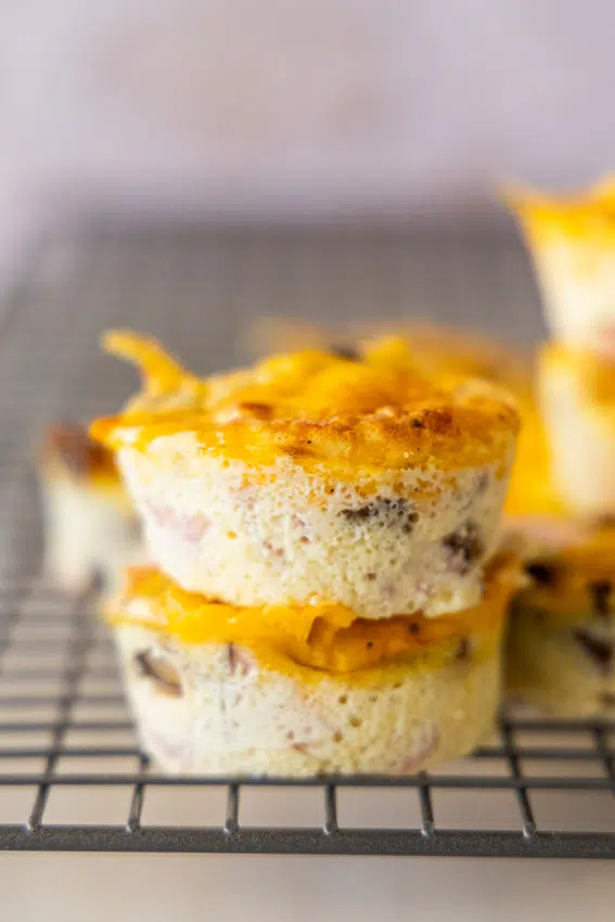 Cottage Cheese Egg Bites with ham, cheese and mushrooms.