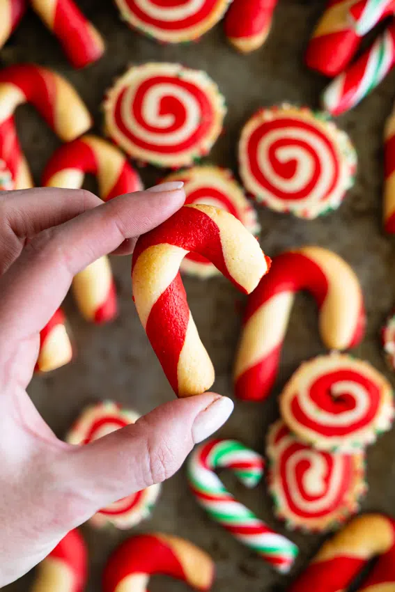 Close up of candy cane cookie showing red and white swirl detail.