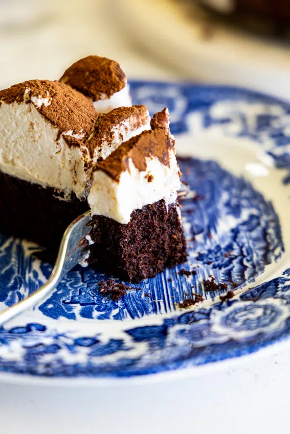 TIramisu flourless chocolate cake.