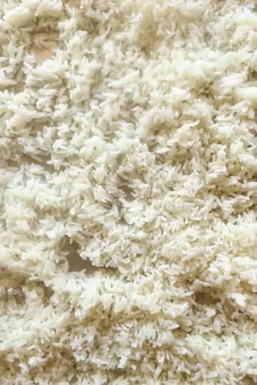 Cooked rice cooling on a sheetpan.