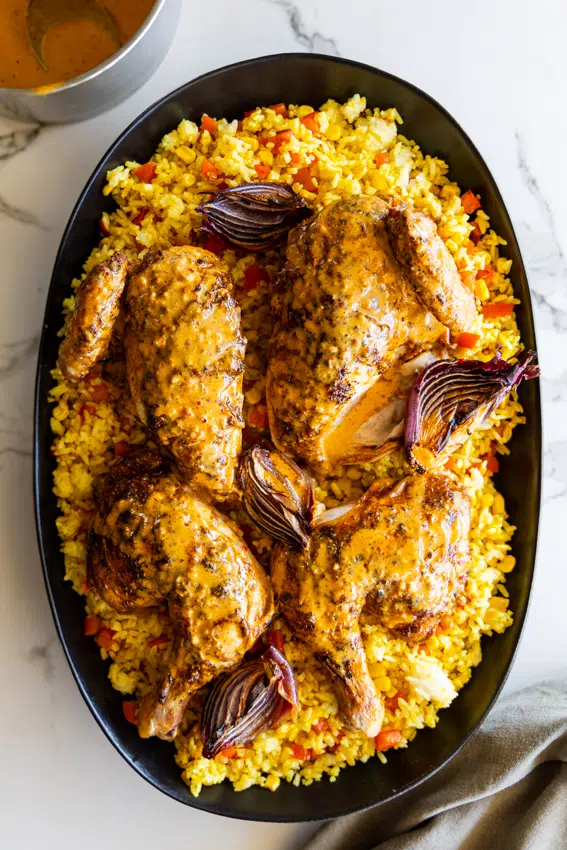 Peri-Peri Spatchcock Chicken served over savory rice with creamy peri-peri sauce.